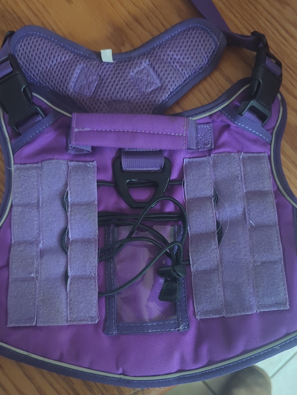 Purple Dog harness, large